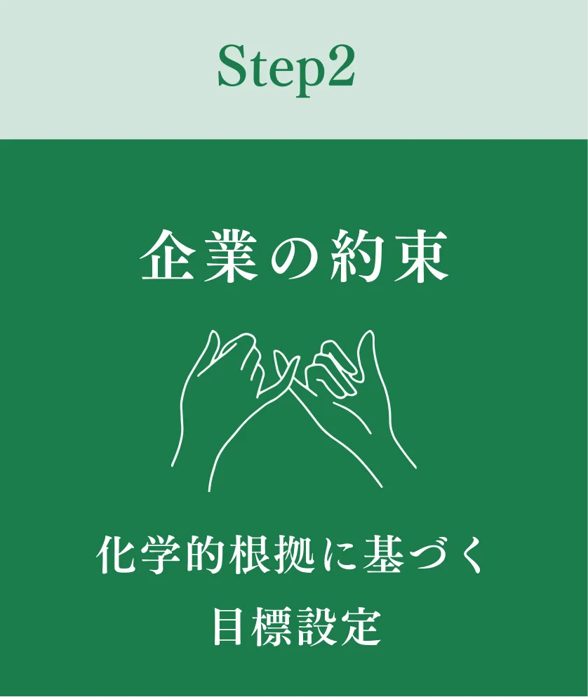 sbt_step_section_2